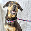 Thumbnail photo of Graham #2
