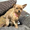 Thumbnail photo of Kristy #1