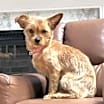 Thumbnail photo of Kristy #2