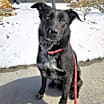 Thumbnail photo of Thelma #3