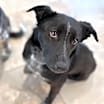 Thumbnail photo of Thelma #4