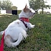Thumbnail photo of Cloud #4