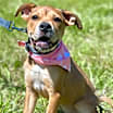 Thumbnail photo of Nelli #2