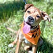 Thumbnail photo of Nelli #4