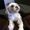 Thumbnail photo of Sasha #1
