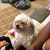 Thumbnail photo of Sasha #4