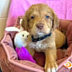 Thumbnail photo of Castiel #2