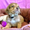 Thumbnail photo of Gabriel #4