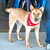 Thumbnail photo of Jill #1