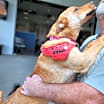 Thumbnail photo of Jill #2