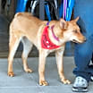 Thumbnail photo of Jill #3
