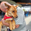 Thumbnail photo of Jill #4