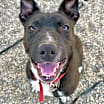 Thumbnail photo of Jeana #1