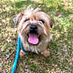 Thumbnail photo of ROBERT (pronounced "Robehr") #1