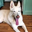 Thumbnail photo of Cloud #1