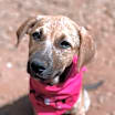 Thumbnail photo of Raquel #1