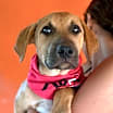 Thumbnail photo of Raquel #2