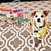 Thumbnail photo of Sol #1