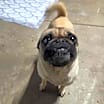 Thumbnail photo of Gigi #1