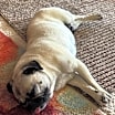 Thumbnail photo of Gigi #4