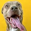 Thumbnail photo of Winn Dixie #2