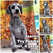 Thumbnail photo of Jasmine from Korea #1
