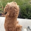 Thumbnail photo of Cash #2