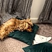 Thumbnail photo of Cash #3