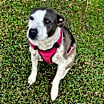 Thumbnail photo of Baby Girl #1