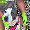 Thumbnail photo of Baby Girl #2