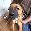 Thumbnail photo of Nova #1