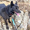 Thumbnail photo of Lincoln #3
