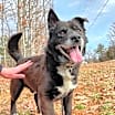 Thumbnail photo of Duke #2