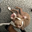Thumbnail photo of Milo #3