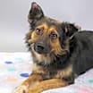 Thumbnail photo of Sophie #1