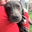 Thumbnail photo of Bexar #4