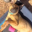 Thumbnail photo of George #1
