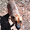 Thumbnail photo of George #2