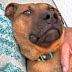 Thumbnail photo of George #4
