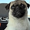 Thumbnail photo of Weber #2