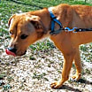 Thumbnail photo of Nemo #3