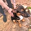 Thumbnail photo of Yarro #2