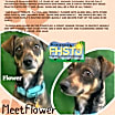 Thumbnail photo of Flower #2