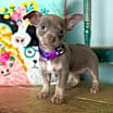 Thumbnail photo of Bonita #2
