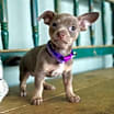 Thumbnail photo of Bonita #3