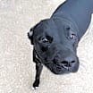 Thumbnail photo of Tinkerbell #4