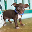 Thumbnail photo of Muchacho #2