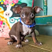Thumbnail photo of Muchacho #3