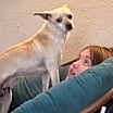 Thumbnail photo of Furley #2