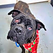 Thumbnail photo of Candy #1